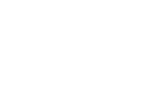 Standard eBike