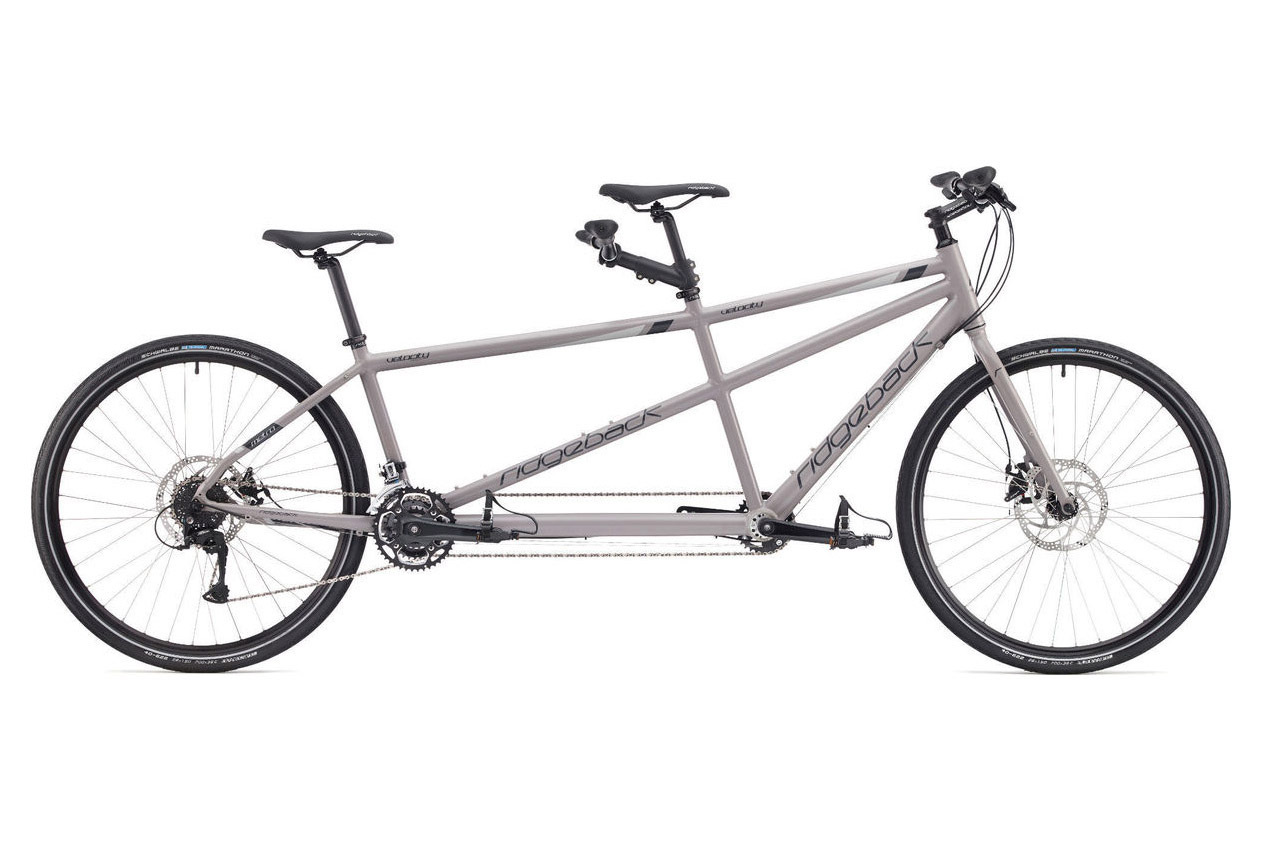 Trail a hot sale bike tandem
