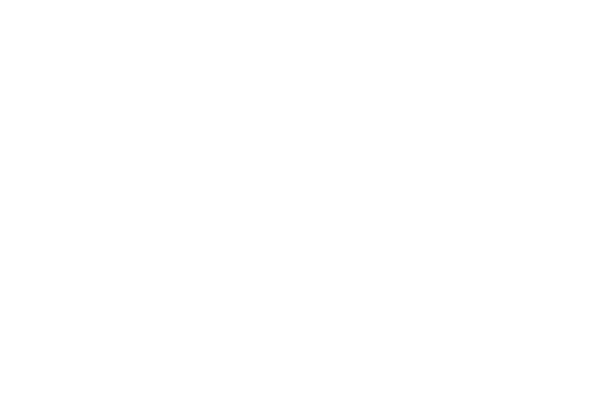 Tag-a-long (price includes standard hybrid bike)